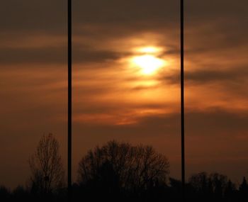 Low angle view of silhouette trees against orange sky