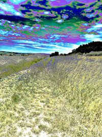 Scenic view of field against cloudy sky