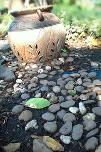 Bird on stone wall