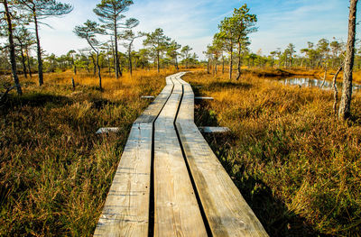 Railroad track amidst trees on field against sky