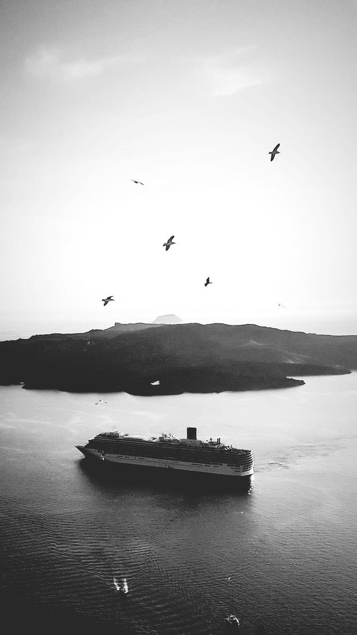 BIRDS FLYING ABOVE SEA