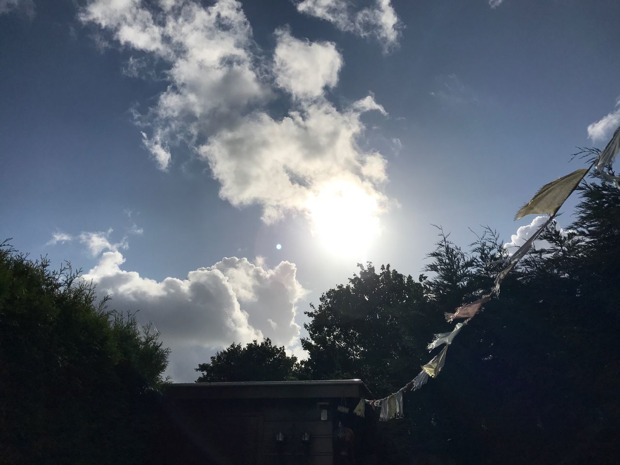 LOW ANGLE VIEW OF SKY AND TREES AGAINST CLOUDY BLUE