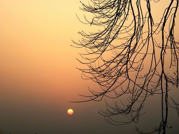 Low angle view of bare trees against sky at sunset