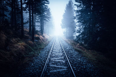Diminishing perspective of railroad track amidst trees in forest during foggy weather