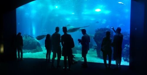 Silhouette people at aquarium