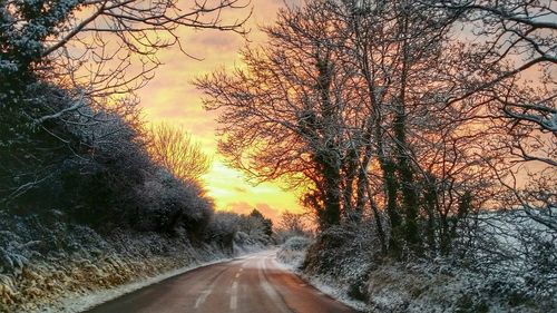 Road passing through forest