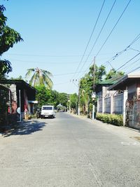 Road along trees