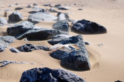 High angle view of rocks on beach