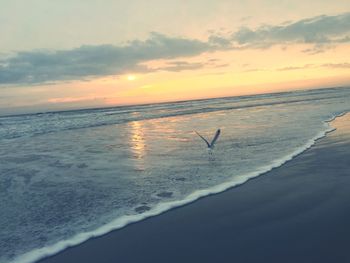 Scenic view of sea at sunset