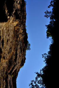 Low angle view of trees against clear blue sky