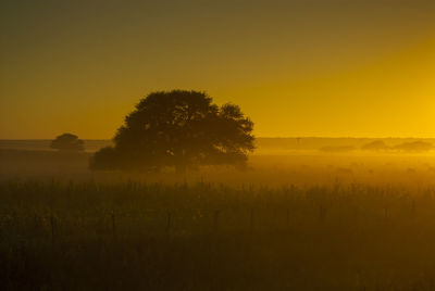 Scenic view of field against sky during sunset