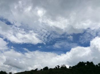 Low angle view of trees against sky