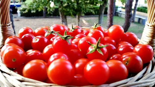 Close-up of tomatoes in basket