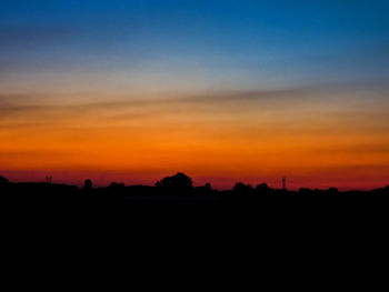 Silhouette of trees at sunset