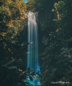 Scenic view of waterfall in forest