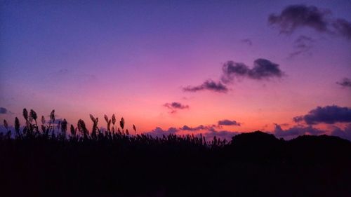 Silhouette trees against sky during sunset