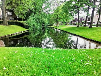 Scenic view of park by lake