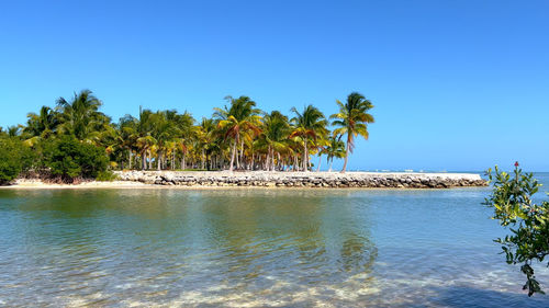 Scenic view of sea against clear blue sky