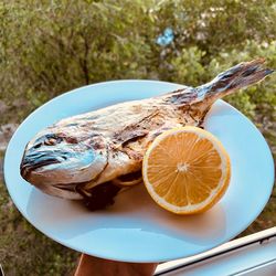 Cropped hand holding of fish and orange in plant against plants