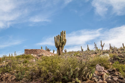 Low angle view of rock formations against sky