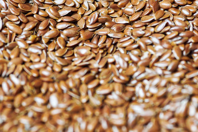 Flaxseed, linseed close up. bunch of linum usitatissimum - common flax seeds. healthy vegetarian