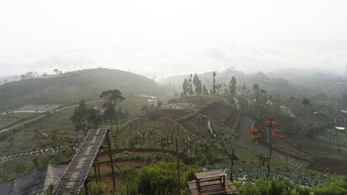 High angle view of trees on landscape against sky