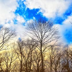 Low angle view of bare trees against cloudy sky