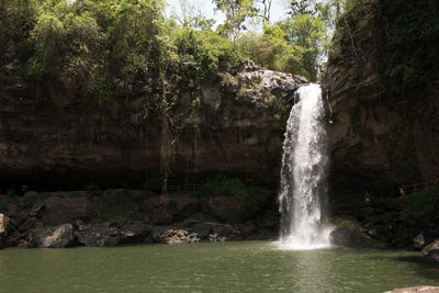 Scenic view of waterfall in forest