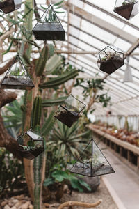 Close-up of electric lamp hanging on metal structure