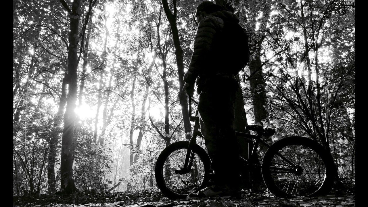 tree, bicycle, lifestyles, leisure activity, transportation, full length, forest, sunlight, mode of transport, tranquility, nature, standing, outdoors, tree trunk, day, men, cycling, land vehicle