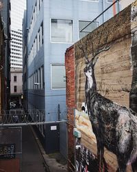 Birds perching on building