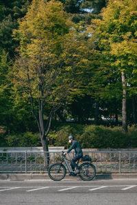 Man riding bicycle on road in city