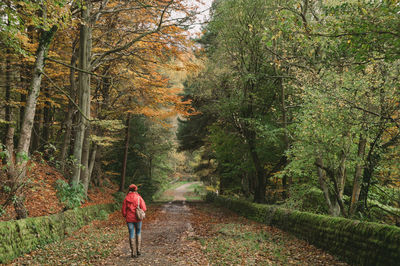 Rear view of woman walking on road amidst trees in forest