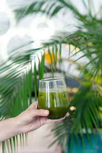 Close-up of drink on table