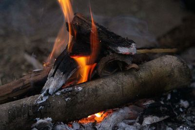 Close-up of fire on log