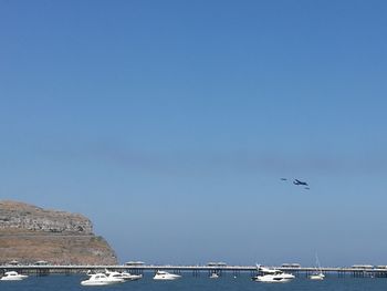 Birds flying over sea against clear sky