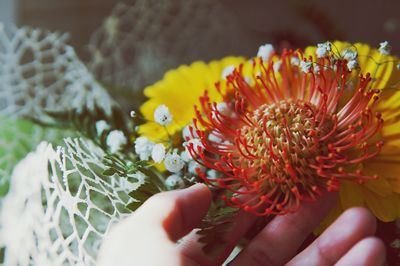 Close-up of hand holding flower