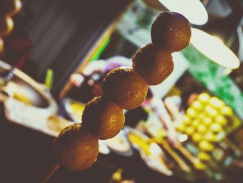 Close-up of berries growing on tree