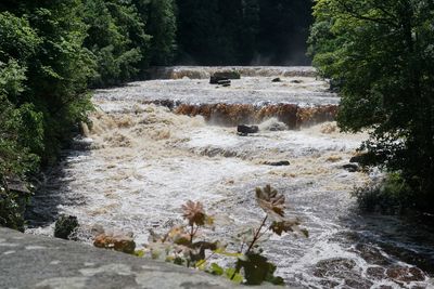 Stream flowing through rocks in forest