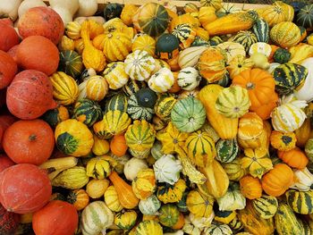 Full frame shot of pumpkins for sale at market stall