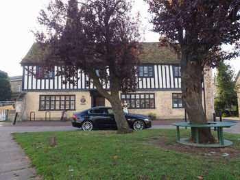 Car on tree by building in city