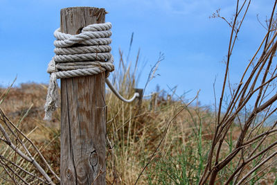 Close-up of rope tied on wooden post