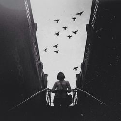 Low angle view of birds flying over young woman against sky