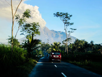 Car on road amidst trees against sky