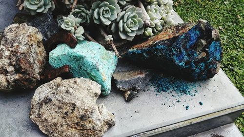 High angle view of broken rock by succulent plants