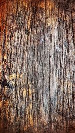 Full frame shot of tree trunk