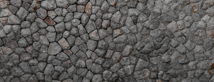 Full frame shot of lizard on rock