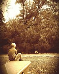 Rear view of man sitting on land