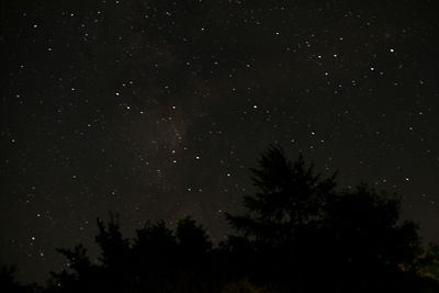 Low angle view of starry sky