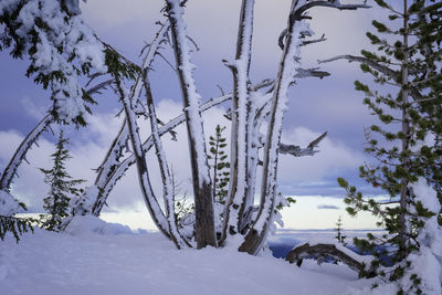 Scenic view of frozen landscape against sky